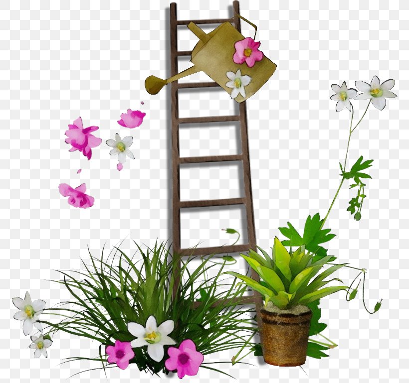 Flower Plant Flowerpot Houseplant Moth Orchid, PNG, 774x769px, Watercolor, Flower, Flowering Plant, Flowerpot, Houseplant Download Free