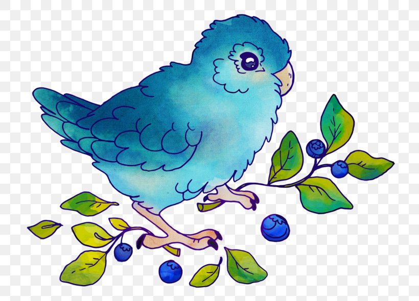 Parakeet Feather Beak Clip Art, PNG, 800x590px, Parakeet, Art, Artwork, Beak, Bird Download Free