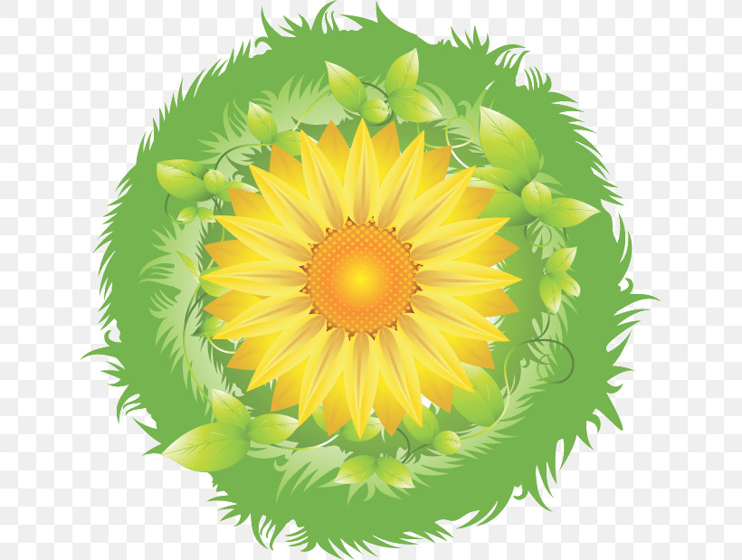 Sunflower Summer Flower, PNG, 641x619px, Sunflower, Dandelion, Petal, Summer Flower, Yellow Download Free