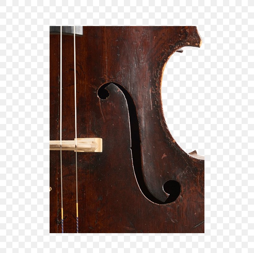 Bass Violin Double Bass Violone Viola Octobass, PNG, 500x816px, Bass Violin, Antique, Bass, Bass Guitar, Bowed String Instrument Download Free