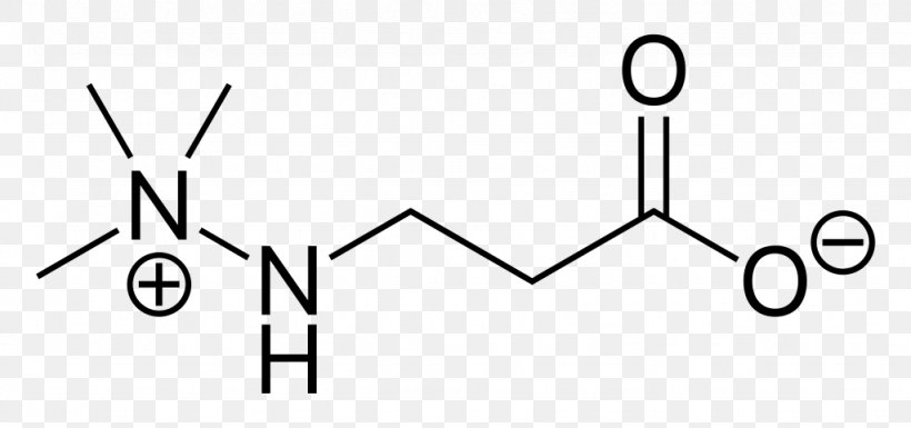Beta-Methylamino-L-alanine β-Alanine Sarcosine Neurotoxin, PNG, 1024x482px, Betamethylaminolalanine, Acid, Alanine, Amino Acid, Area Download Free