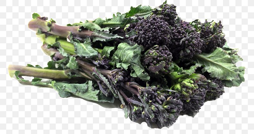 Broccolini Vegetarian Cuisine Curly Kale Rapini, PNG, 768x434px, Broccoli, Asparagus, Broccoli Sprouts, Broccolini, Cabbage Download Free