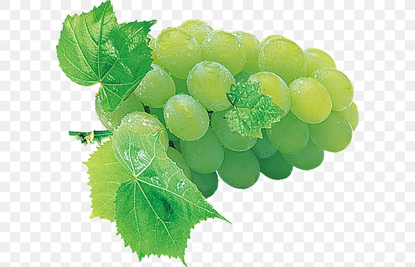 Grape Fruit Auglis Phobia, PNG, 600x529px, Grape, Aedmaasikas, Apple, Auglis, Food Download Free
