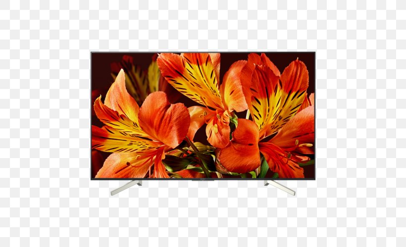LED-backlit LCD 4K Resolution Smart TV Ultra-high-definition Television, PNG, 500x500px, 4k Resolution, Ledbacklit Lcd, Alstroemeriaceae, Android Tv, Computer Monitors Download Free