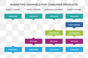 Cola - Marketing Channel Distribution Diagram PNG