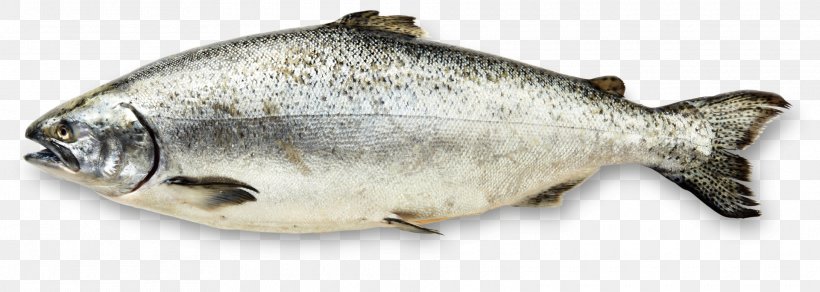 Stone Age Chinook Salmon Copper River Food, PNG, 1920x686px, Stone Age, Capelin, Chinook Salmon, Copper River, Fillet Download Free