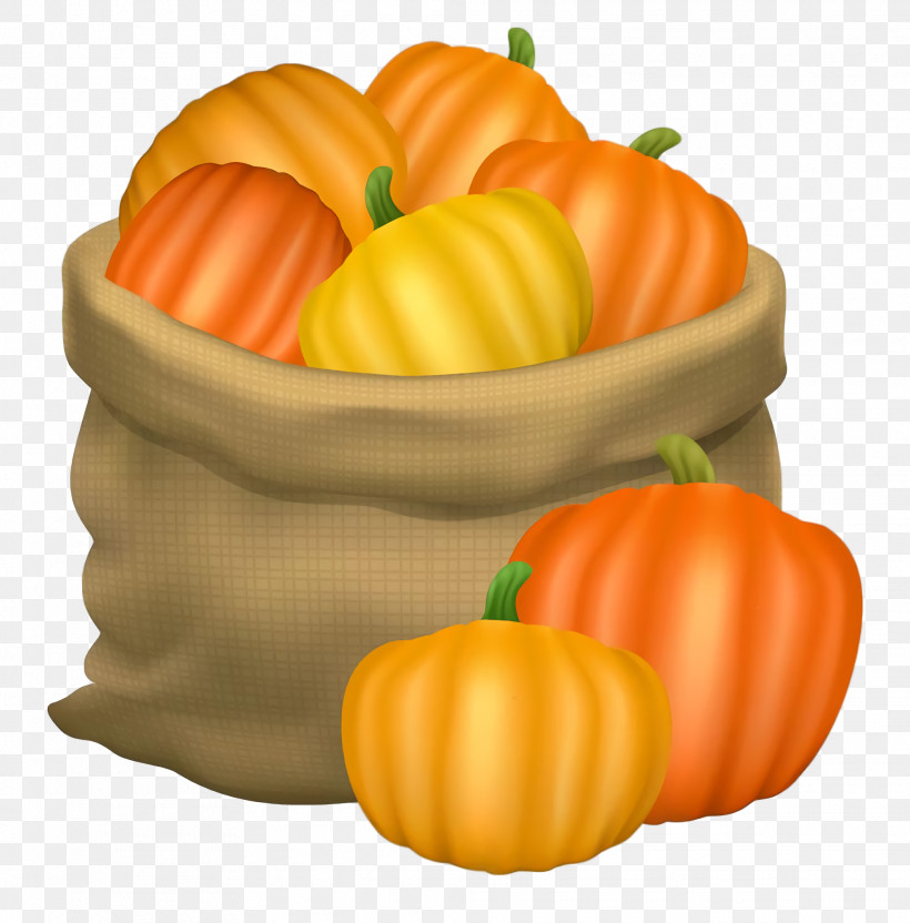 Thanksgiving Autumn Harvest, PNG, 1970x2000px, Thanksgiving, Autumn, Calabaza, Fruit, Gourd Download Free