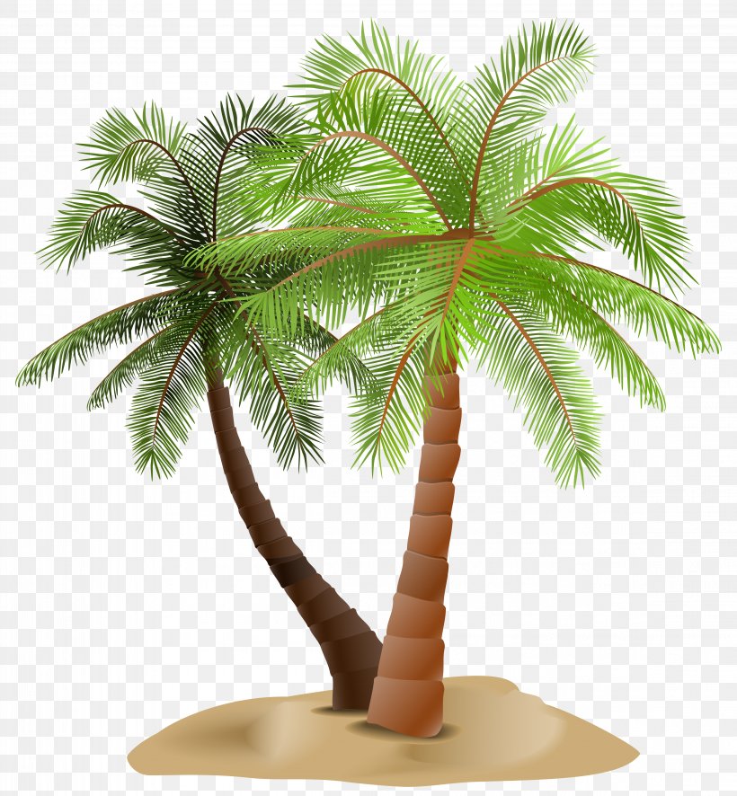Arecaceae Tree Clip Art, PNG, 4623x5000px, Arecaceae, Arecales, Borassus Flabellifer, Coconut, Date Palm Download Free