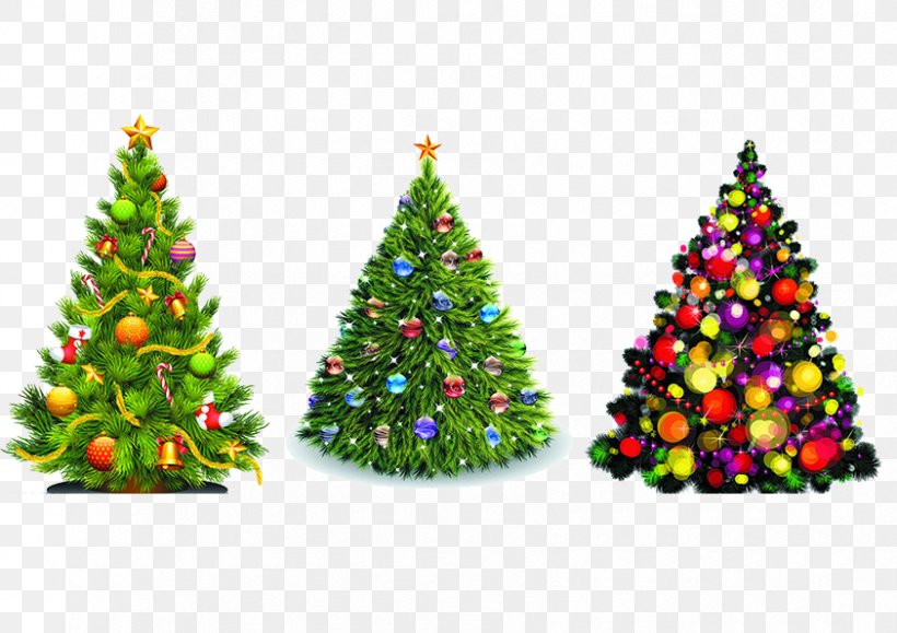 Christmas Tree Christmas Ornament Clip Art, PNG, 842x595px, Christmas Tree, Christmas, Christmas Decoration, Christmas Lights, Christmas Ornament Download Free