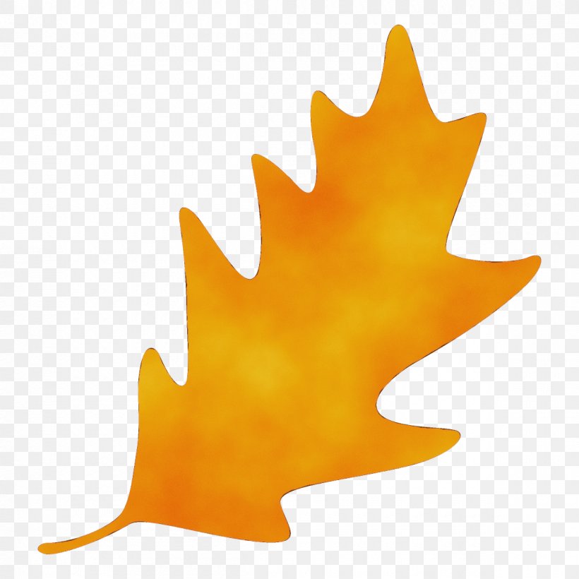 Maple Leaf, PNG, 1200x1200px, Watercolor, Black Maple, Leaf, Maple Leaf, Paint Download Free