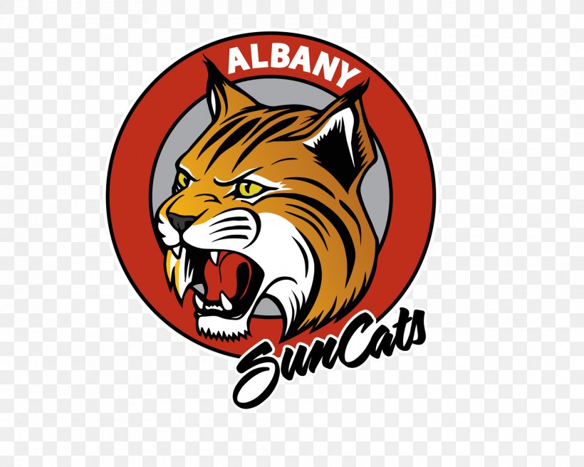 Tiger Albany Cat Whiskers Logo, PNG, 1800x1440px, Tiger, Albany, Albany County New York, Big Cat, Big Cats Download Free