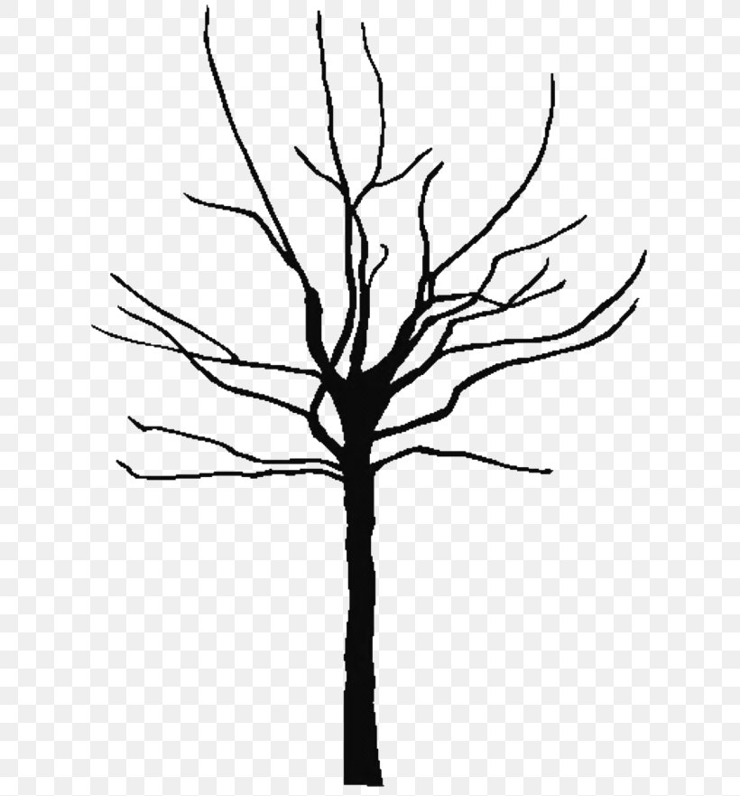 Tree Oak Black And White Clip Art, PNG, 640x881px, Tree, Black And White, Branch, Coloring Book, Deciduous Download Free