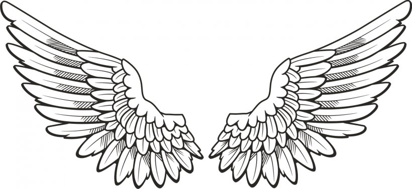 Drawing Angel Clip Art, PNG, 1600x737px, Drawing, Angel, Angel Wing, Art, Artwork Download Free