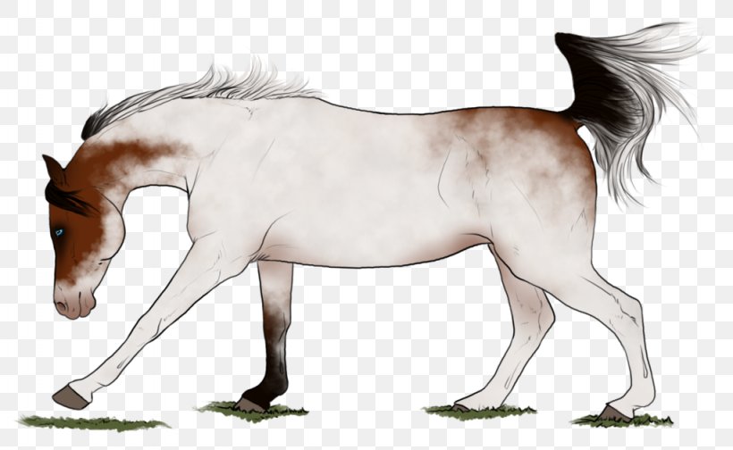 Mane Foal Stallion Colt Mustang, PNG, 1024x630px, Mane, Animal Figure, Bridle, Colt, Fictional Character Download Free