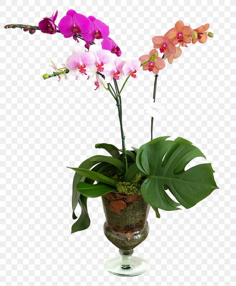 Moth Orchids Cut Flowers Glass Cattleya Orchids, PNG, 1235x1500px, 2017, Moth Orchids, Artificial Flower, Cattleya, Cattleya Orchids Download Free