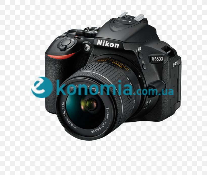 Nikon D5600 Digital SLR Canon EF-S 18–55mm Lens Camera Nikon DX Format, PNG, 874x742px, Nikon D5600, Camera, Camera Accessory, Camera Lens, Cameras Optics Download Free