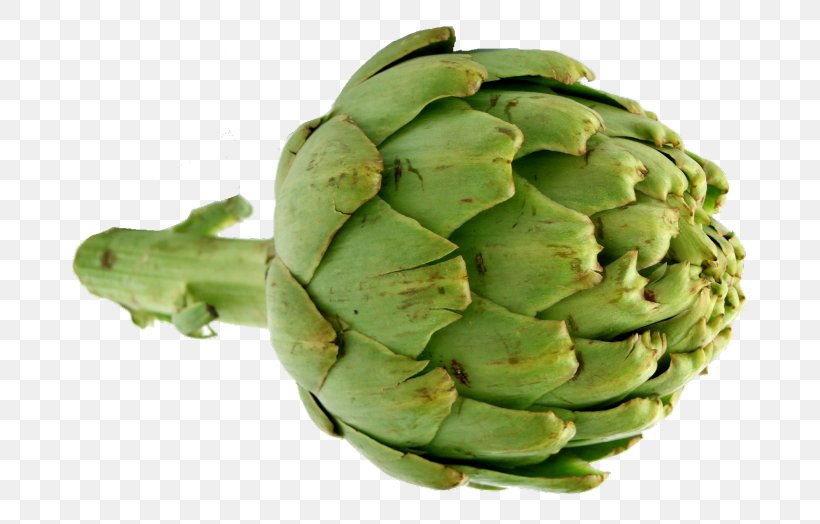 Vegetable Artichoke Nice Cynara, PNG, 706x524px, Vegetable, Artichoke, Cynara, Food, Idea Download Free