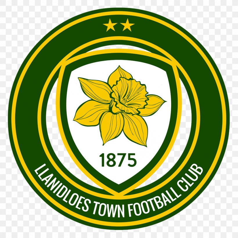 Llanidloes Town F.C. Llanidloes RFC Football Welsh League Cup, PNG, 945x945px, Football, Area, Artwork, Brand, Business Download Free