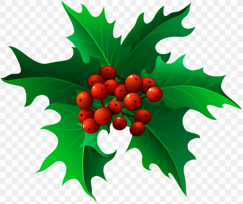 Mistletoe Christmas Clip Art, PNG, 8000x6720px, Common Holly, Aquifoliaceae, Aquifoliales, Christmas, Christmas Decoration Download Free