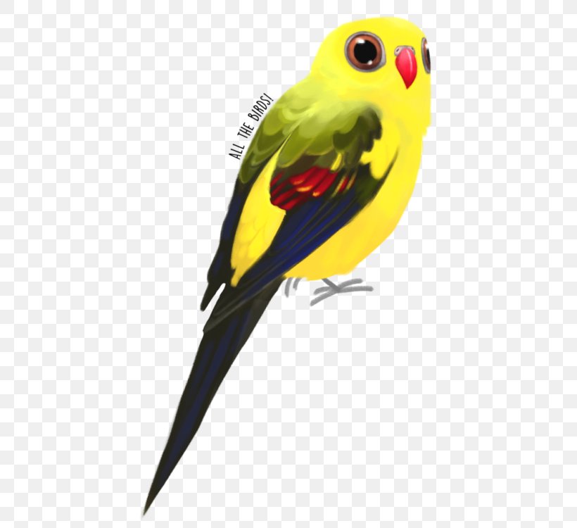 Budgerigar Regent Parrot Bird Princess Parrot, PNG, 500x750px, Budgerigar, Avian Veterinarian, Beak, Bird, Common Pet Parakeet Download Free