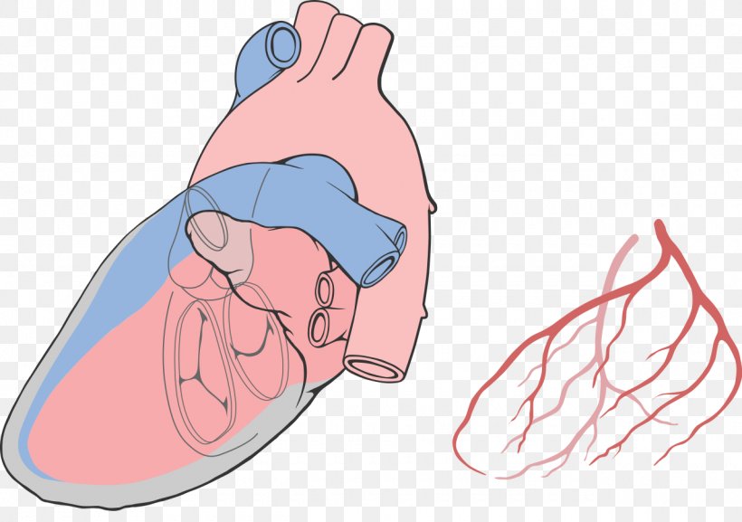 Diagram Thumb Heart Drawing, PNG, 1280x901px, Watercolor, Cartoon, Flower, Frame, Heart Download Free