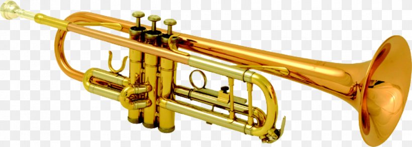 Trumpet Flugelhorn French Horns Brass Instruments Musical Instruments, PNG, 1005x360px, Watercolor, Cartoon, Flower, Frame, Heart Download Free