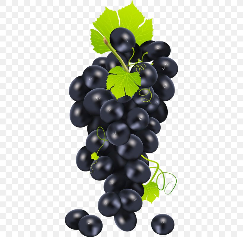 Common Grape Vine Clip Art, PNG, 382x800px, Common Grape Vine, Flowering Plant, Food, Fruit, Grape Download Free