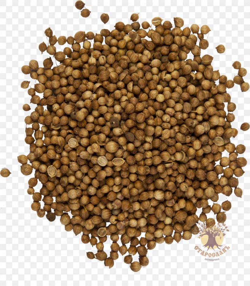Coriander Seed Spice Herbaceous Plant, PNG, 1024x1172px, Coriander, Anise, Bean, Chemical Substance, Commodity Download Free