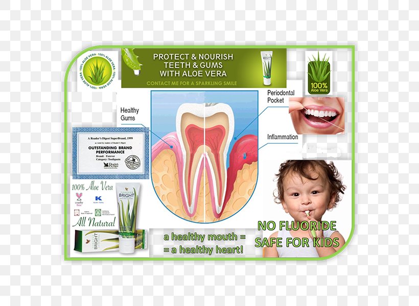Toothpaste Aloe Vera Forever Living Products Fluoride, PNG, 600x600px, Watercolor, Cartoon, Flower, Frame, Heart Download Free