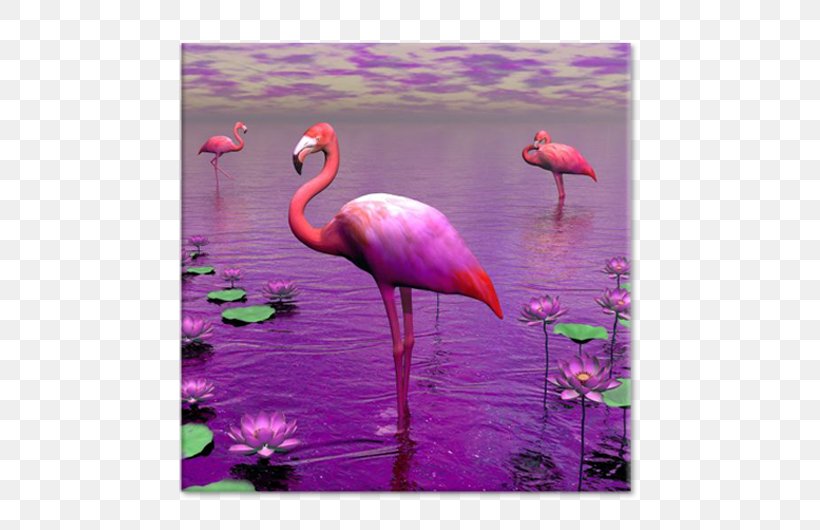 Flamingo Bird Lilium Stock Photography, PNG, 750x530px, Flamingo, Beak, Bird, Color, Fractal Download Free