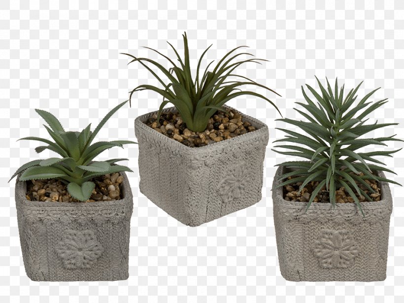 Flowerpot Cactaceae Rhipsalis Houseplant, PNG, 945x709px, Flowerpot, Agave, Aloe, Cactaceae, Cement Download Free