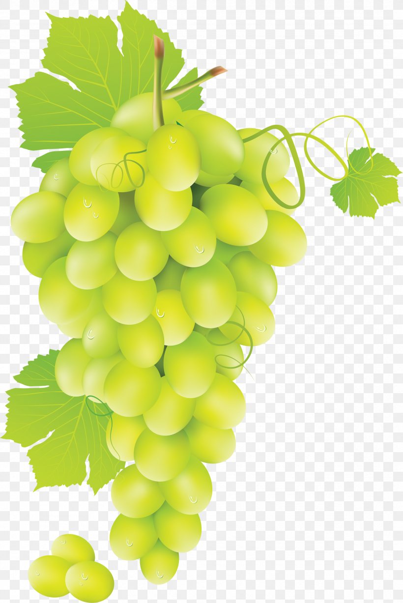 Grape Smokeless Aces Clip Art, PNG, 2384x3570px, Wine, Black And White, Flowering Plant, Food, Fruit Download Free