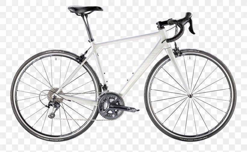 Specialized Bicycle Components Racing Bicycle Road Bicycle Bicycle Shop, PNG, 2400x1480px, Bicycle, Bicycle Accessory, Bicycle Drivetrain Part, Bicycle Fork, Bicycle Frame Download Free
