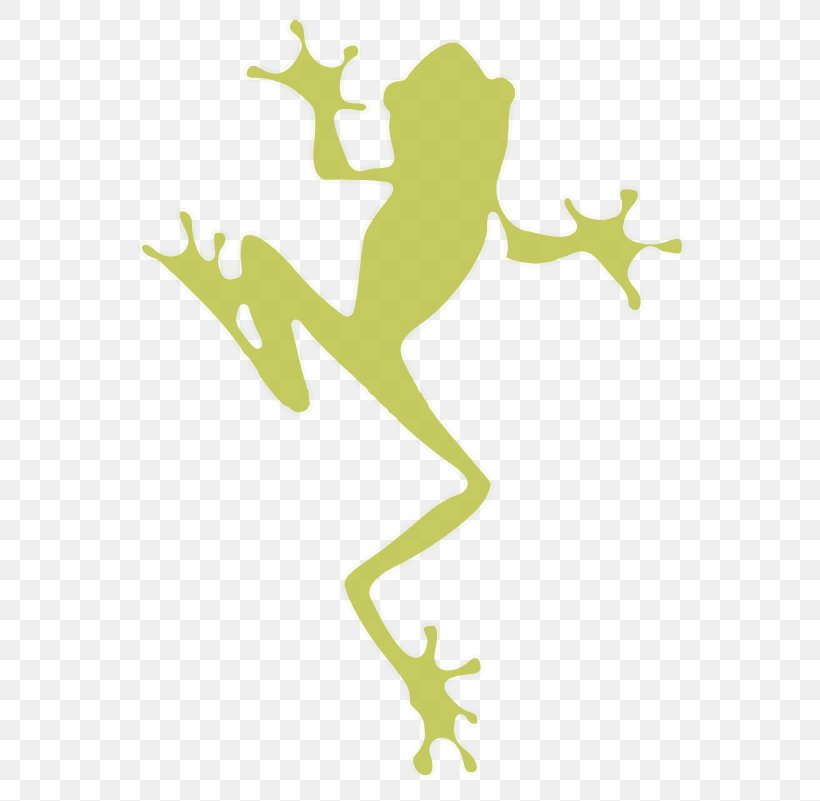 Tree Frog Vector Graphics Image Illustration, PNG, 801x801px, Frog, Amphibian, Green, Organism, Royaltyfree Download Free