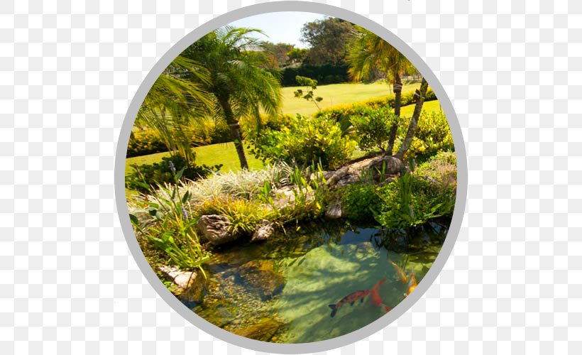 Garden Pond Lake Landscape Architecture Aquatic Plants, PNG, 500x500px, Garden, Aquatic Plant, Aquatic Plants, Deck, Fish Download Free