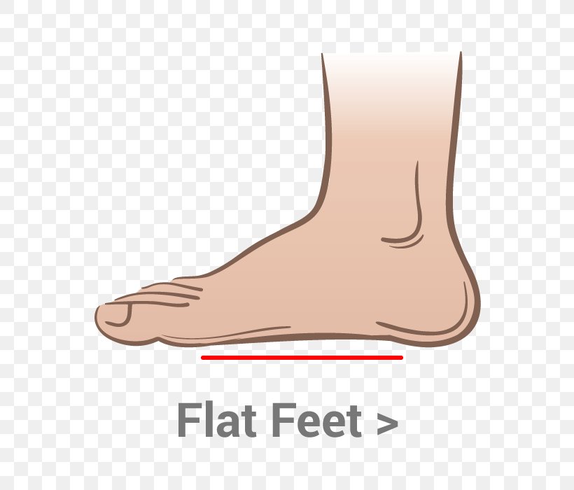 Thumb Flat Feet Shoe Toe Foot, PNG, 700x700px, Watercolor, Cartoon, Flower, Frame, Heart Download Free