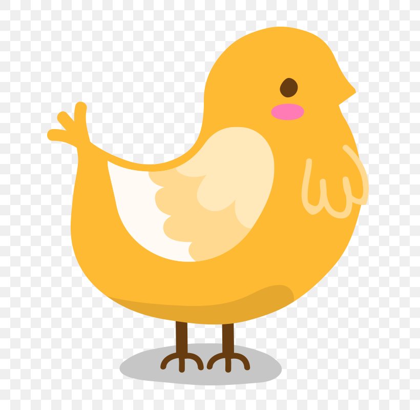 Bird Vector Graphics Image Illustration, PNG, 800x800px, Bird, Beak, Cartoon, Chicken, Duck Download Free