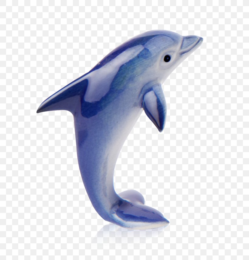 Common Bottlenose Dolphin Short-beaked Common Dolphin Wholphin Tucuxi Rough-toothed Dolphin, PNG, 675x855px, Common Bottlenose Dolphin, Animal, Beak, Bottlenose Dolphin, Cobalt Blue Download Free