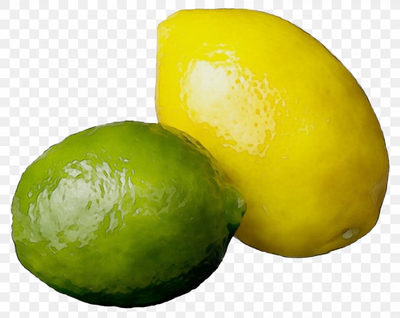 Persian Lime Fruit Lemon Sweet Lemon Citrus, PNG, 903x720px, Watercolor, Citrus, Food, Fruit, Lemon Download Free