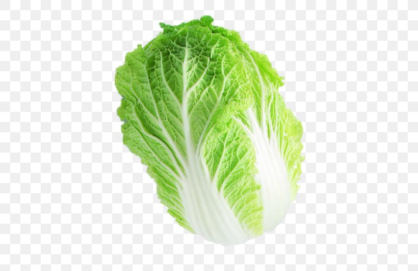 Romaine Lettuce Capitata Group Chinese Cabbage Napa Cabbage Vegetable, PNG, 400x533px, Romaine Lettuce, Brassica Juncea, Brassica Oleracea, Cabbage, Capitata Group Download Free