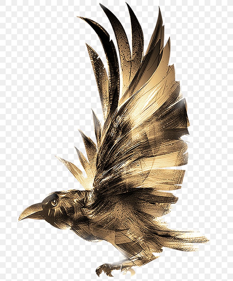 Eagle Bird, PNG, 712x986px, Common Raven, Beak, Bird, Bird Of Prey, Crow Download Free