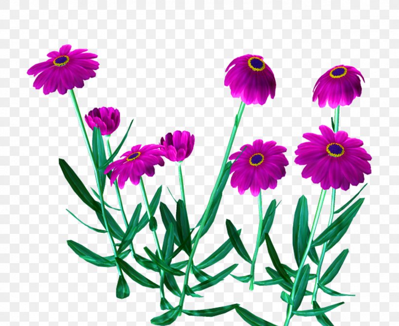 Flower Floral Design Drawing, PNG, 1388x1134px, Flower, Annual Plant, Art, Aster, Chrysanths Download Free