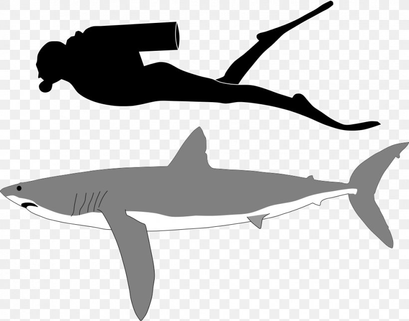 Goblin Shark Tiger Shark Great White Shark, PNG, 979x770px, Shark, Ampullae Of Lorenzini, Animal, Black And White, Blue Shark Download Free