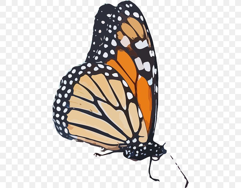 Monarch Butterfly Clip Art Vector Graphics Queen, PNG, 465x640px, Butterfly, Arthropod, Brush Footed Butterfly, Brushfooted Butterflies, Insect Download Free