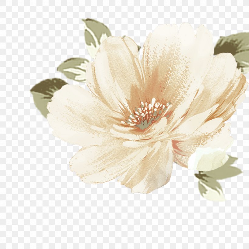 Cut Flowers Petal Flowering Plant, PNG, 886x886px, Cut Flowers, Flower, Flowering Plant, Petal, Plant Download Free