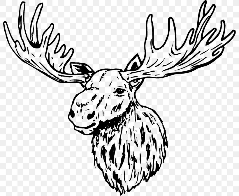 Deer Antler Line Art Clip Art, PNG, 800x673px, Deer, Antler, Antler Luggage, Artwork, Black And White Download Free