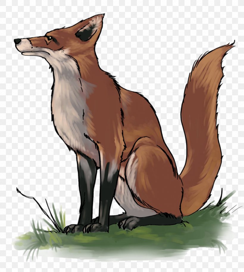 Fox Clip Art, PNG, 886x987px, Fox, Albom, Animation, Beak, Carnivoran Download Free