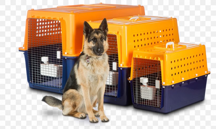 Mover Pet Travel Relocation Transport, PNG, 1300x781px, Mover, Box, Cargo, Courier, Dhl Express Download Free