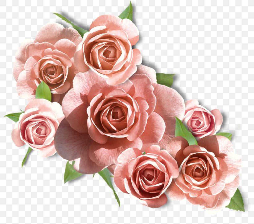 Pastel Floral Background, PNG, 800x723px, Pink, Blue Rose, Bouquet, Camellia, Cut Flowers Download Free