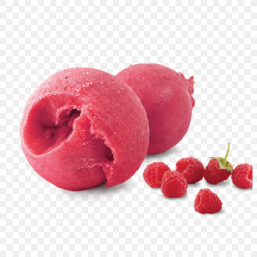 Sorbet Frozen Yogurt Ice Cream Raspberry, PNG, 1024x1024px, Sorbet, Auglis, Berry, Bilberry, Cranberry Download Free